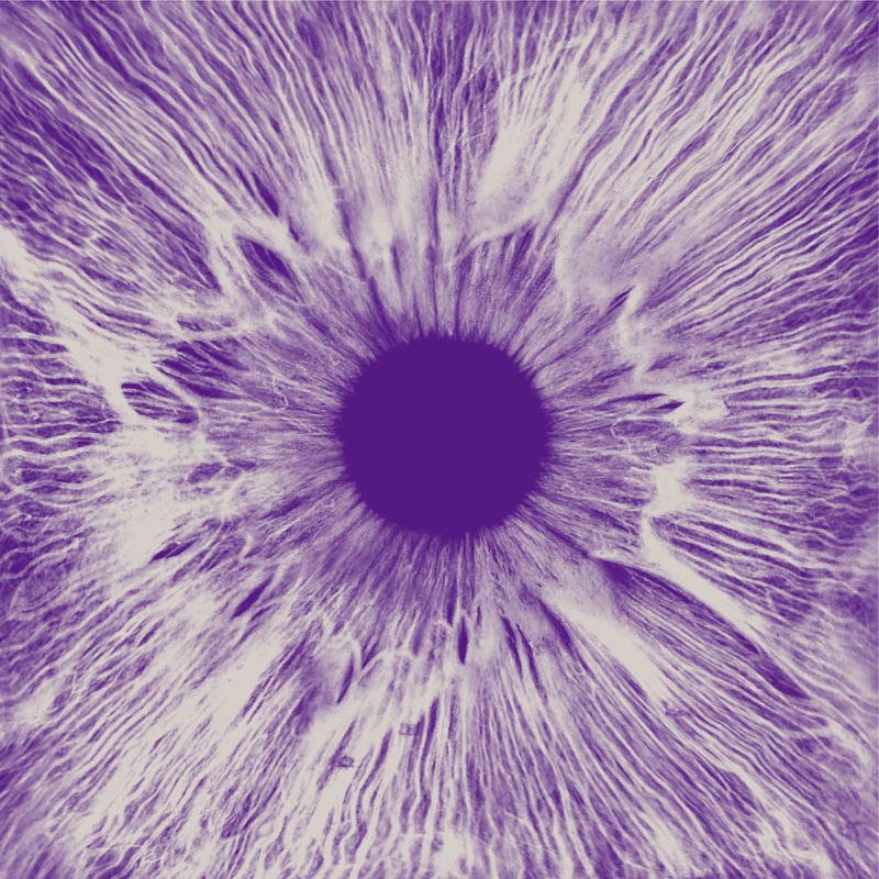 Iris - Colorway 01