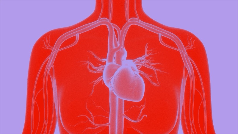 Body with Heart - Colorway 02