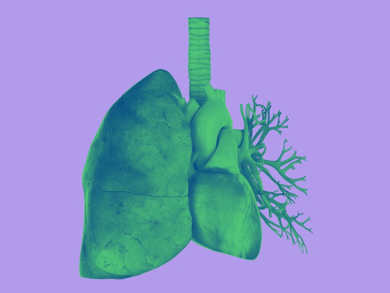 Lungs & Heart