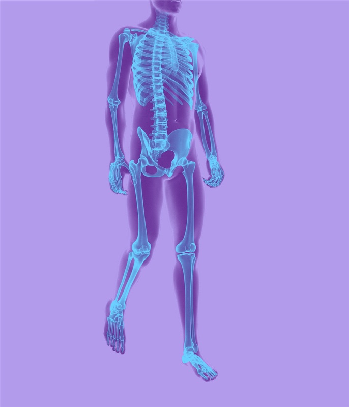 Skeletal - Full Body Outline